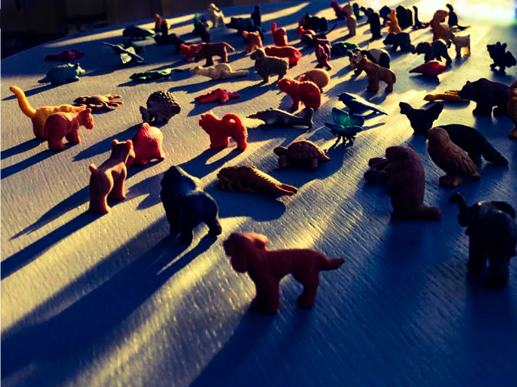 Click for more photos